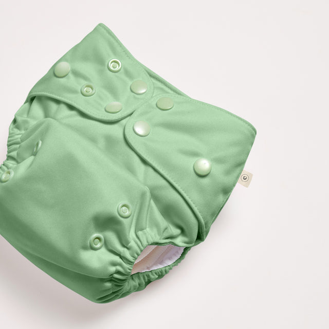 Apple 2.0 Modern Cloth Diaper