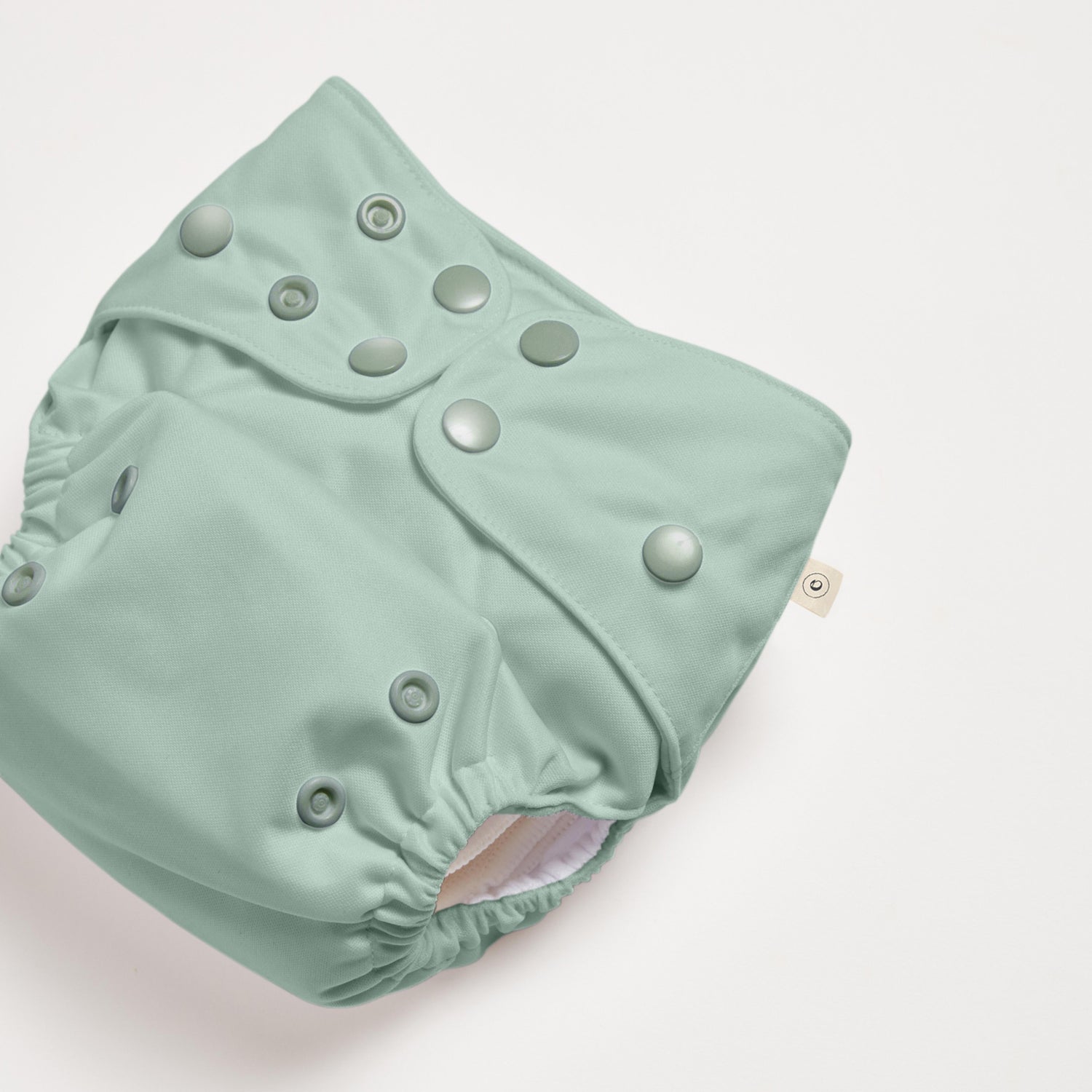 Mint 2.0 Modern Cloth Diaper